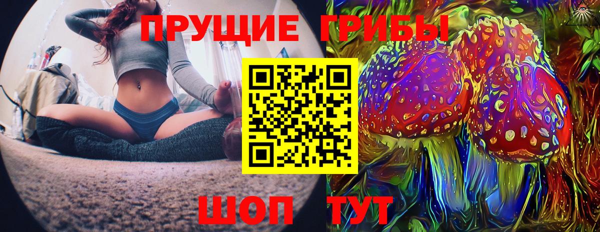 цены наркотик  Псилоцибиновые грибы мухоморы  Вход с VPN  Кунгур 