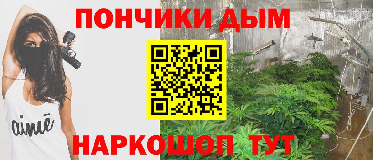 Бошки марихуана гибрид Кунгур